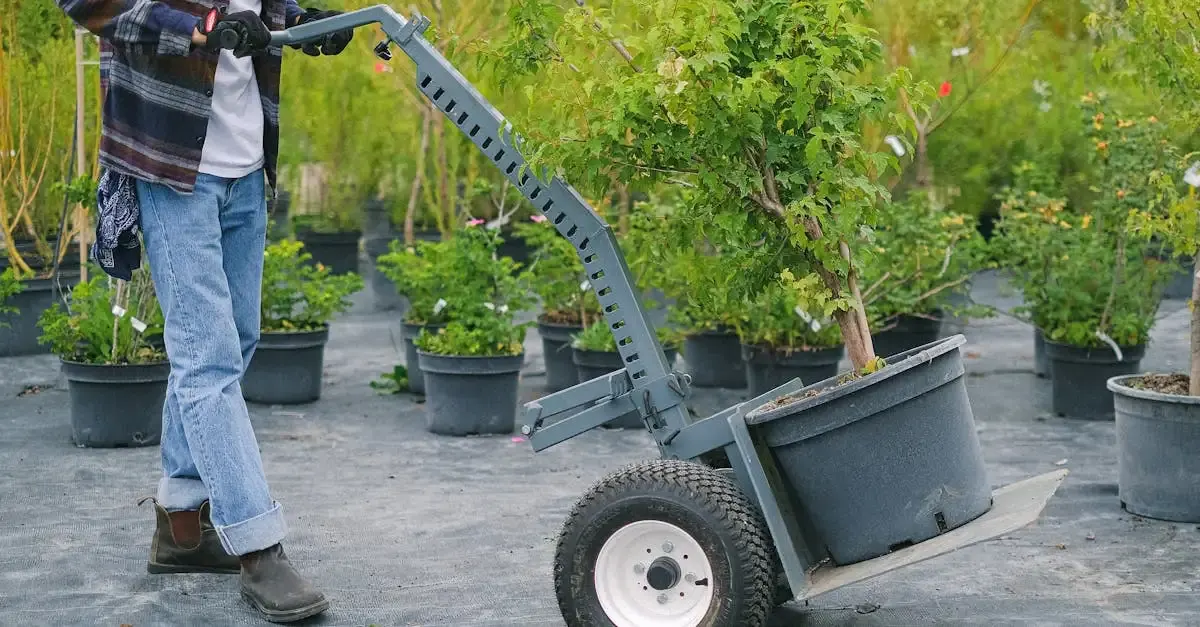 Ausbildung Garten- und Landschaftsbau Hannover | Jobs &