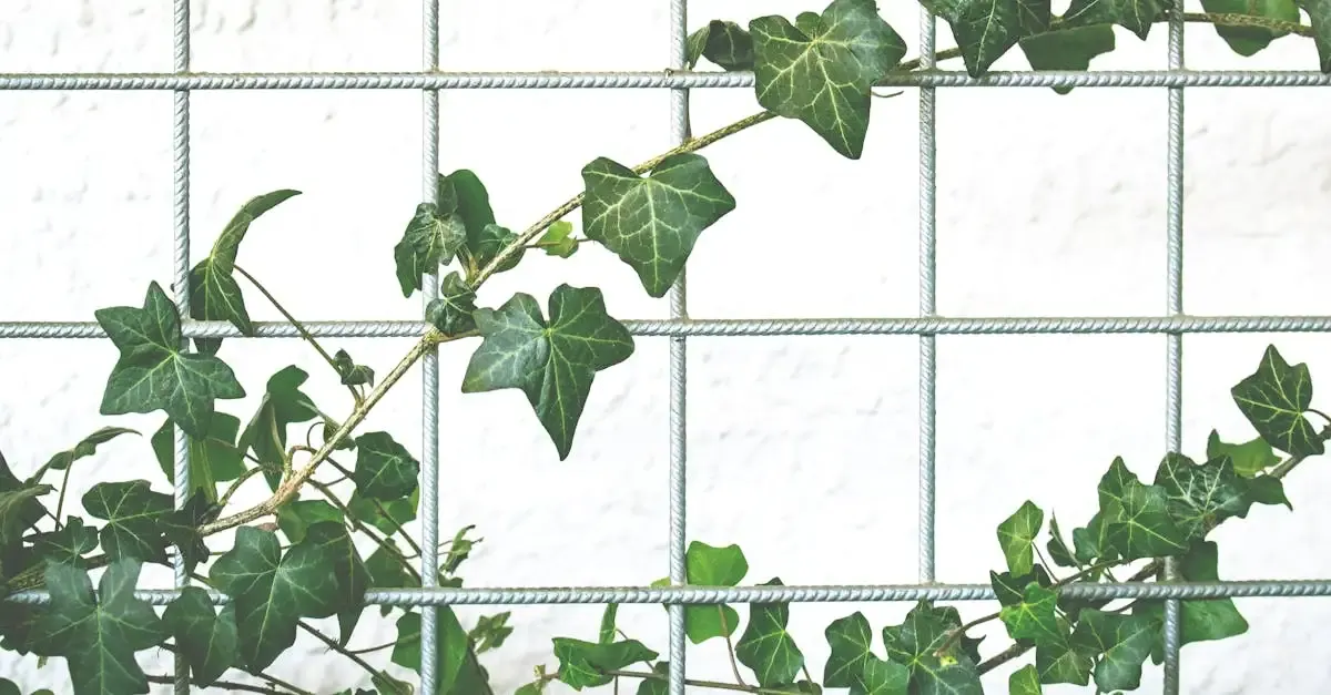 Moderne Glaswände für Ihren Garten: Stil und Schutz