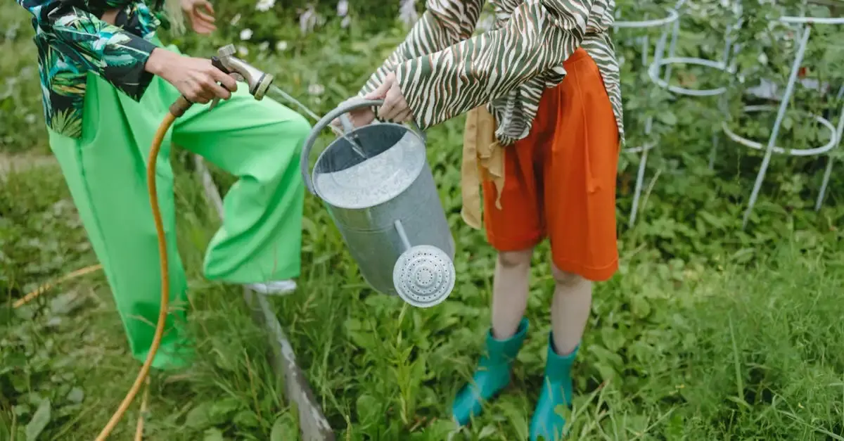 Alternative zu rasen im garten