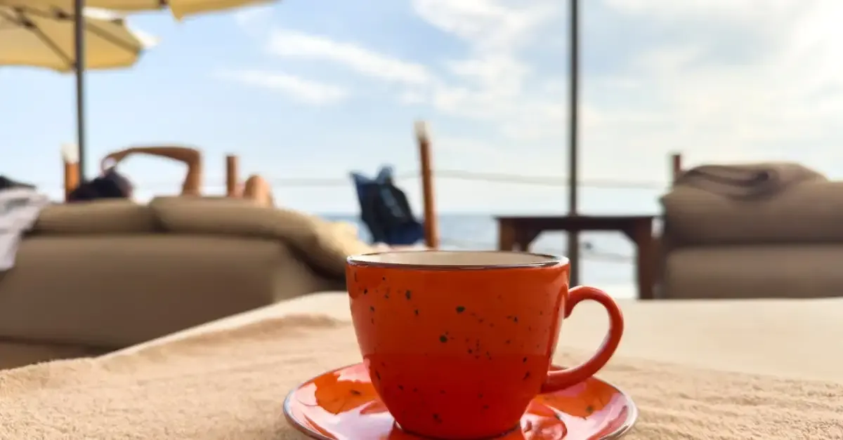 Bequeme Liegestühle für Garten und Balkon online kaufen