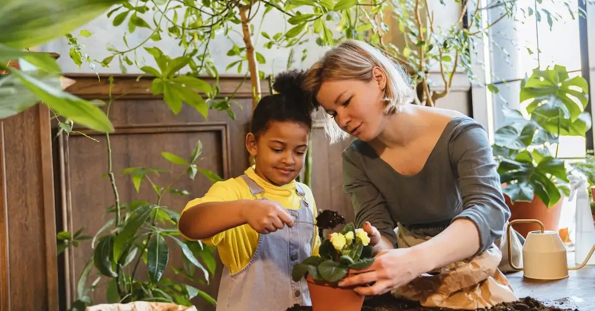 Beruf Garten- und Landschaftsbau: Karriere & Ausbildung