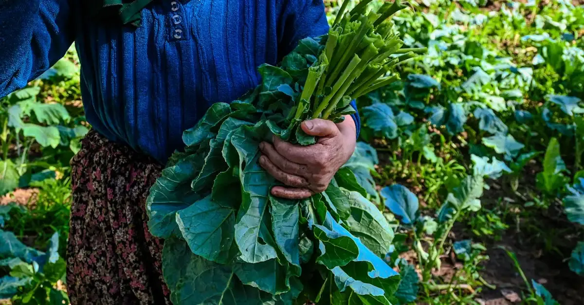 Bewertung Sondernutzungsrecht Garten: Wert berechnen