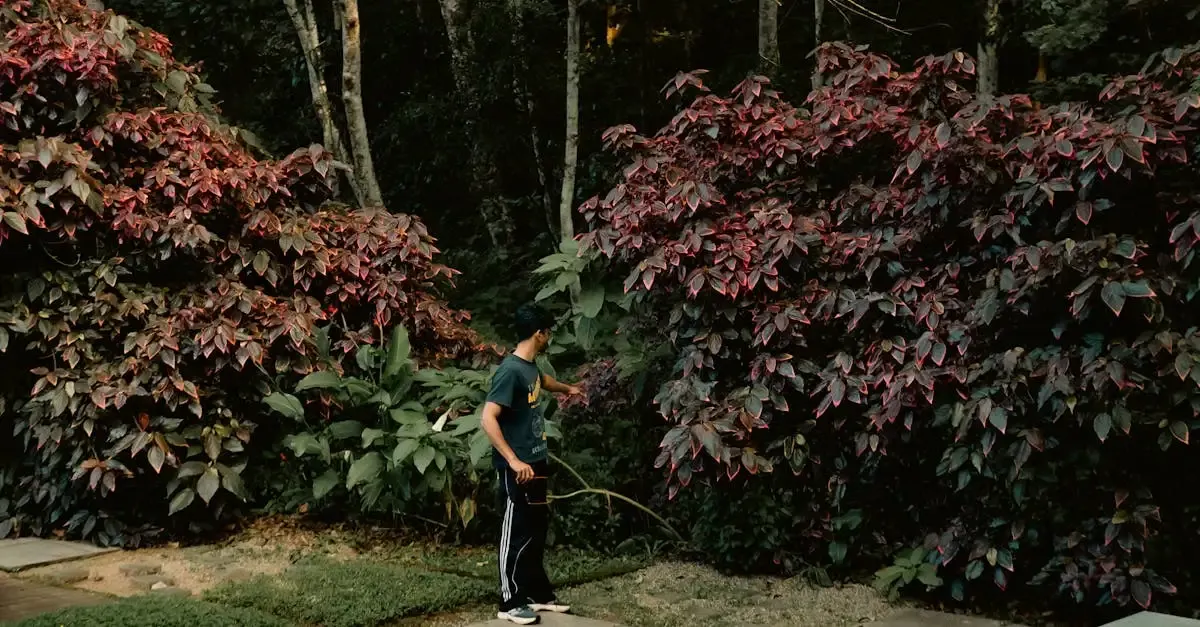 Eigener garten anlegen