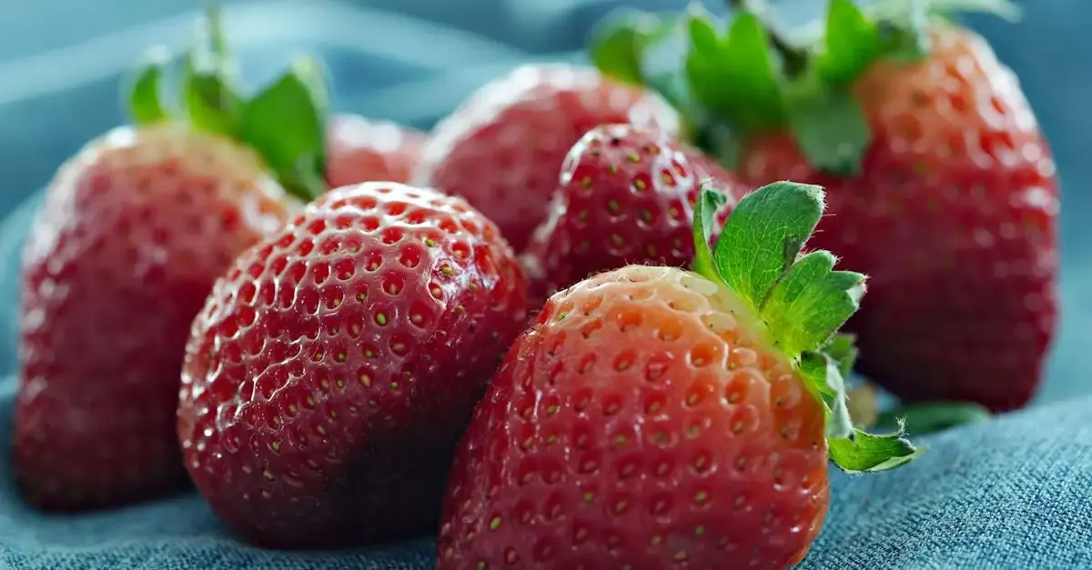 Erdbeeren düngen garten