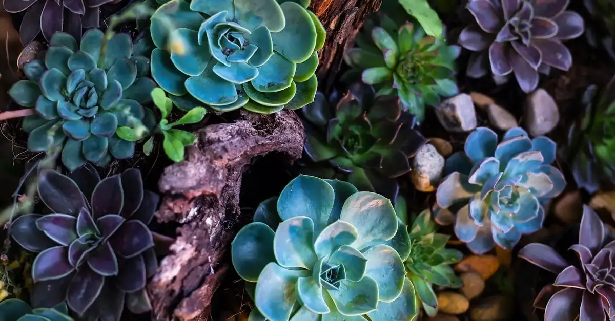 Felsen modellieren garten