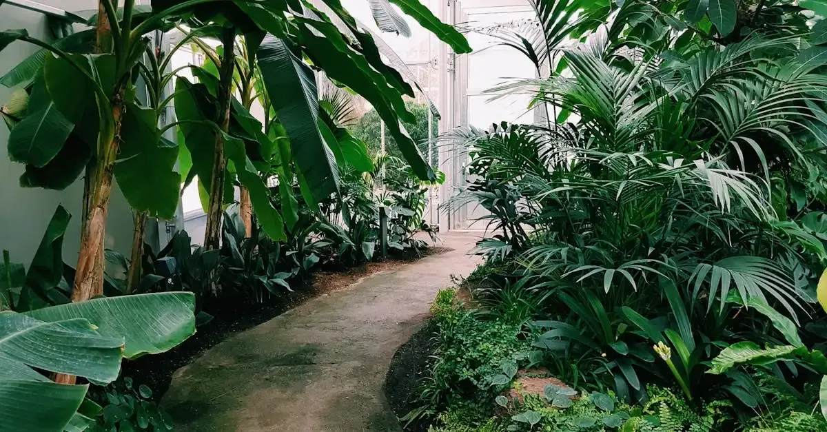 Frankfurt garten