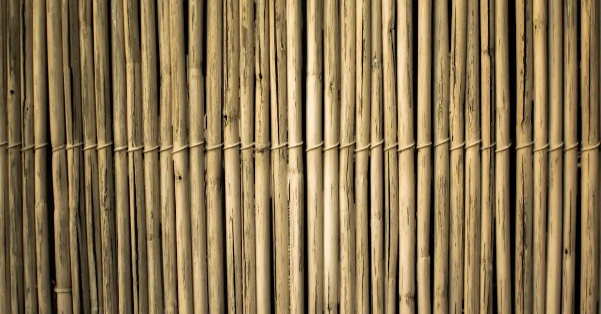 Garten überdachung mit seitenwand