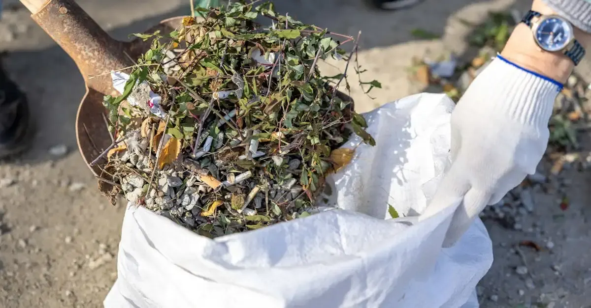 Garten fugen: Unkraut entfernen und Fugen abdichten