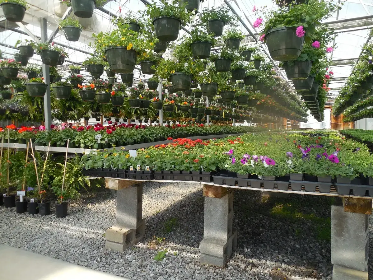 Garten im kindergarten