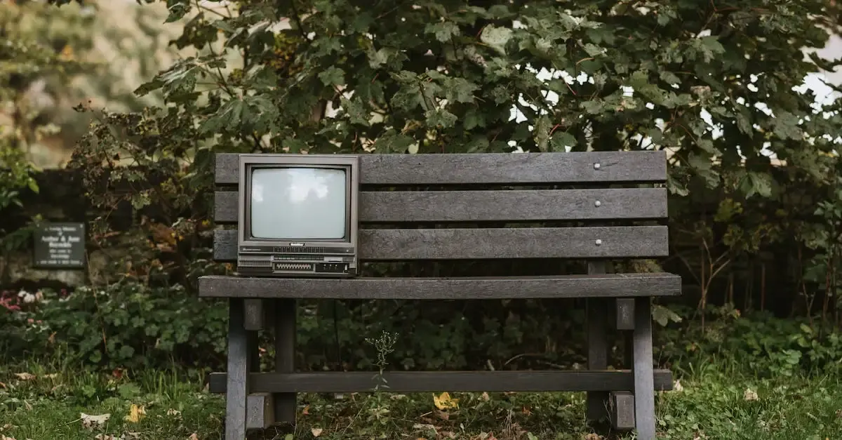 Garten im tv