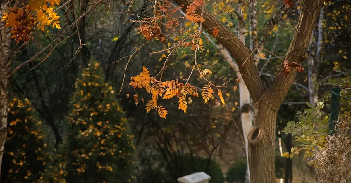 Garten