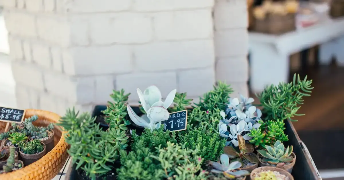 Garten land shop