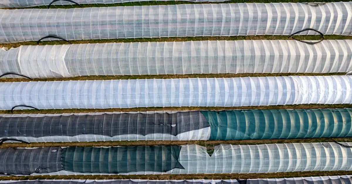 Garten und landschaftsbau ibbenbüren