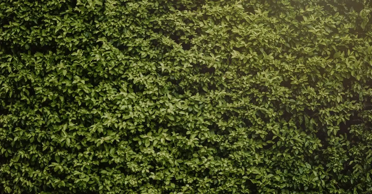 Garten- und Landschaftsbau: Ihr Experte für grüne Oasen