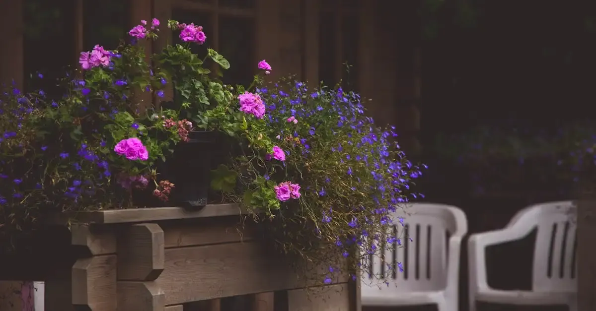 Garten und Terrassen: Gestaltungsideen und Tipps für Ihr