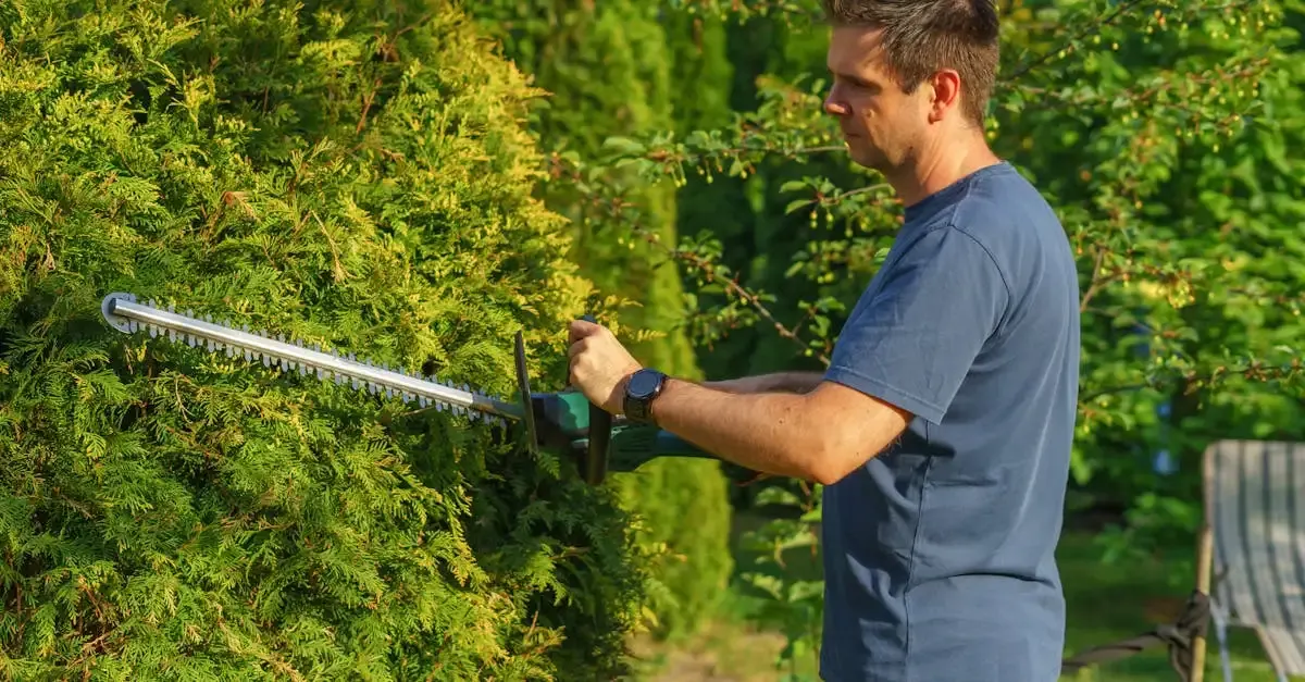 Gartenbäume schneiden: Tipps für den perfekten Schnitt