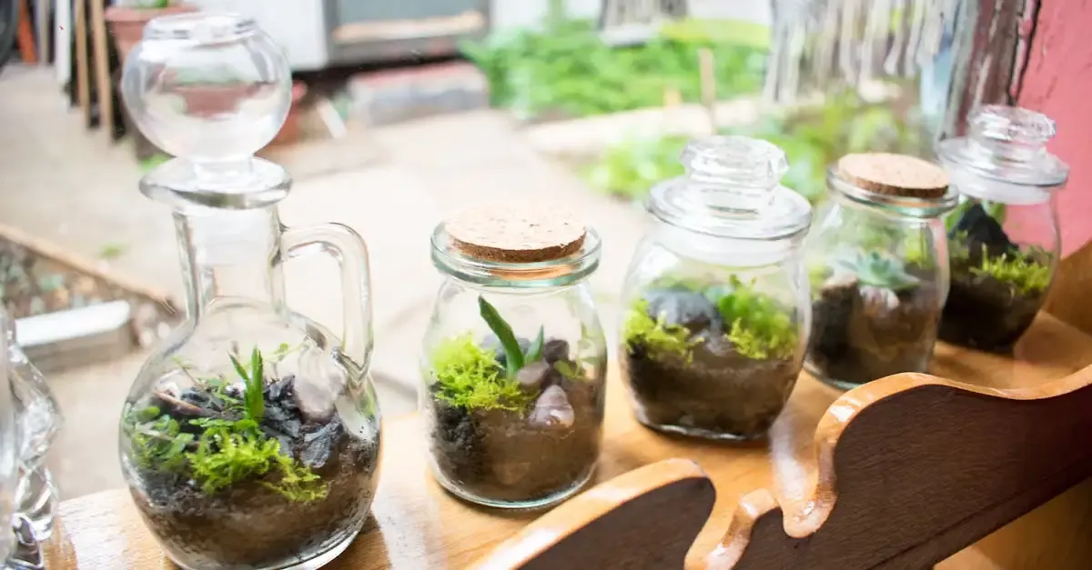 Glas im Garten: Ideen, Gestaltung und Produkte entdecken