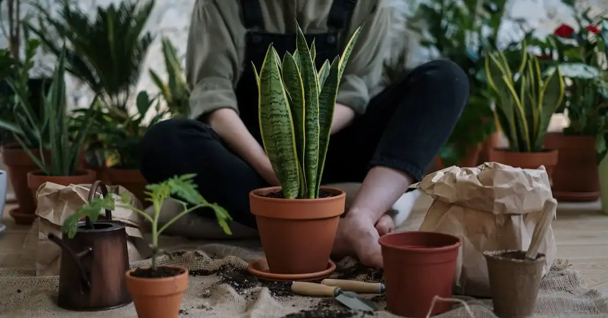 Große übertöpfe für den garten