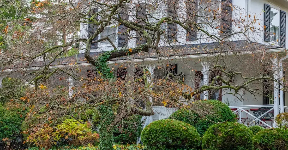 Heim & garten