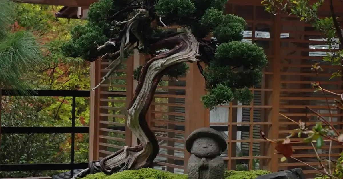 Japanischer Garten mit Wasser: Gestaltung und Elemente