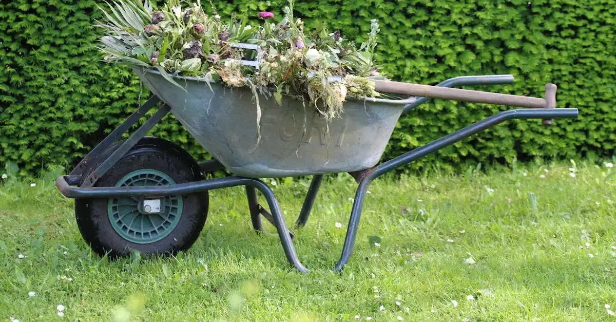 Kunstrasen für den Garten: Auswahl, Verlegung und Pflege