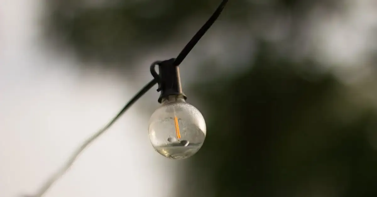 Licht strahler garten