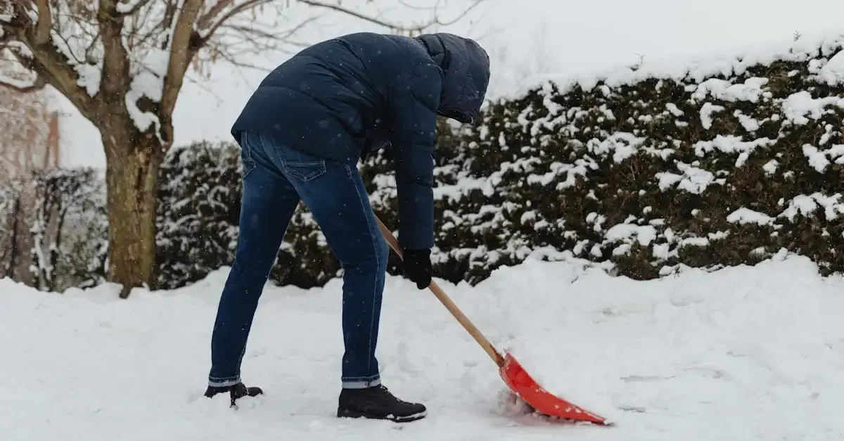 Maulwurf im Garten entfernen: Effektive und tierfreundliche