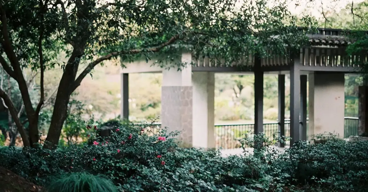 Pergola garten