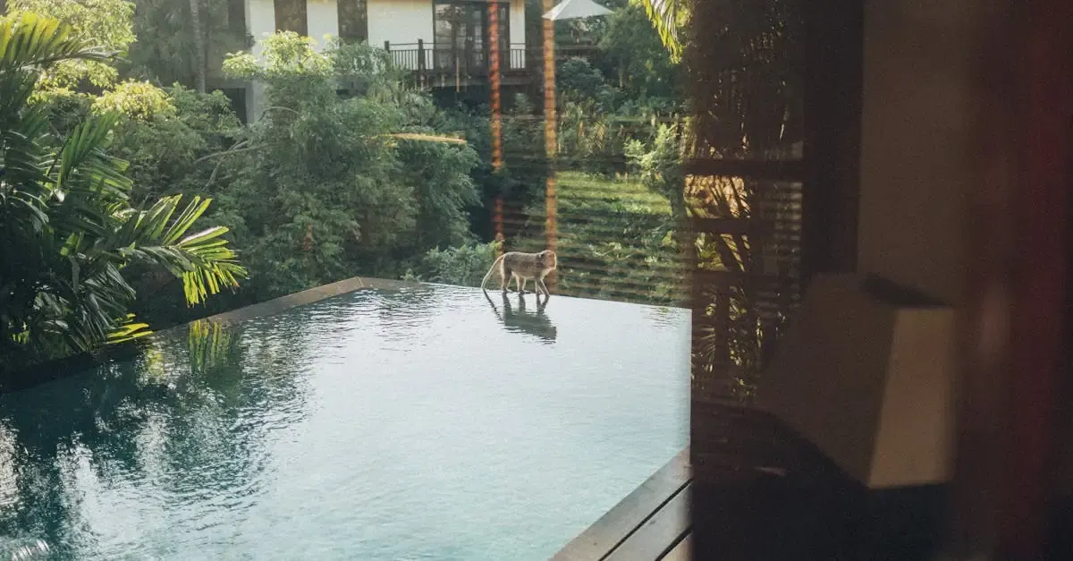 Pool im Garten gestalten: Ideen und Tipps für Ihre Oase