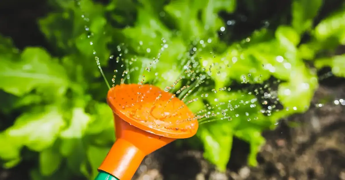 Professioneller Hausmeisterservice für Gartenpflege und mehr