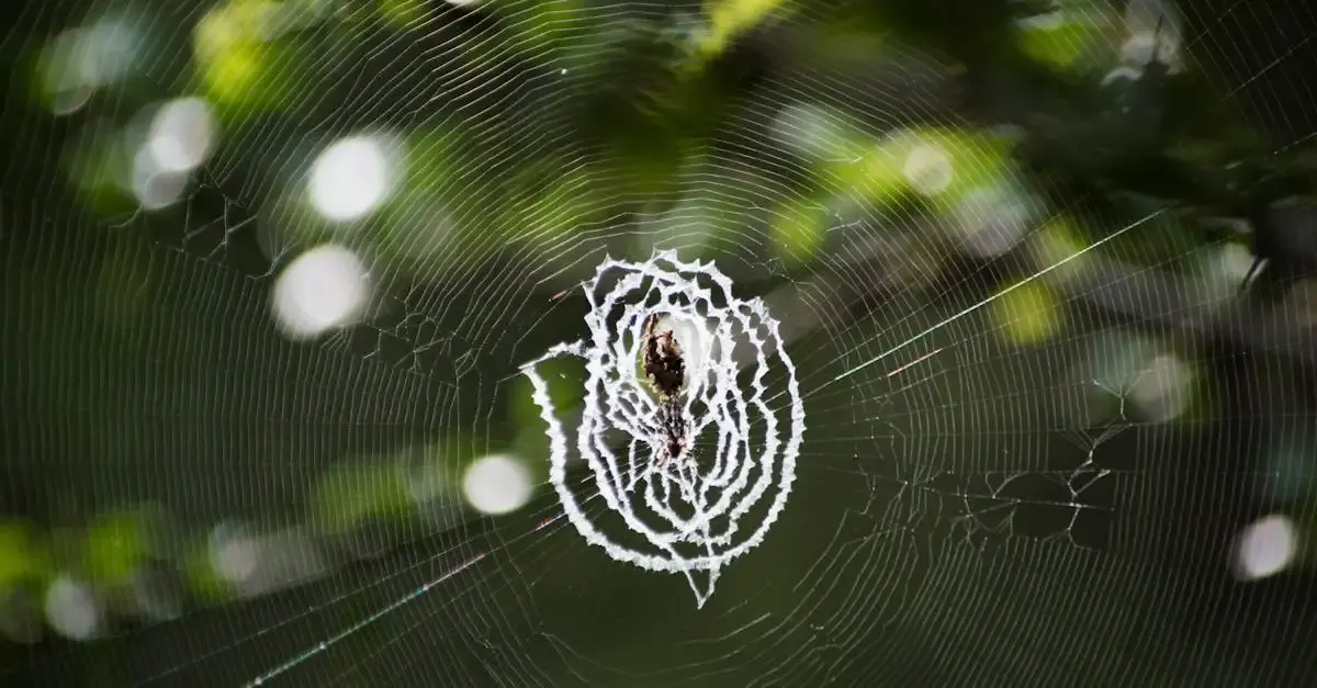 Prozessionsspinner im garten