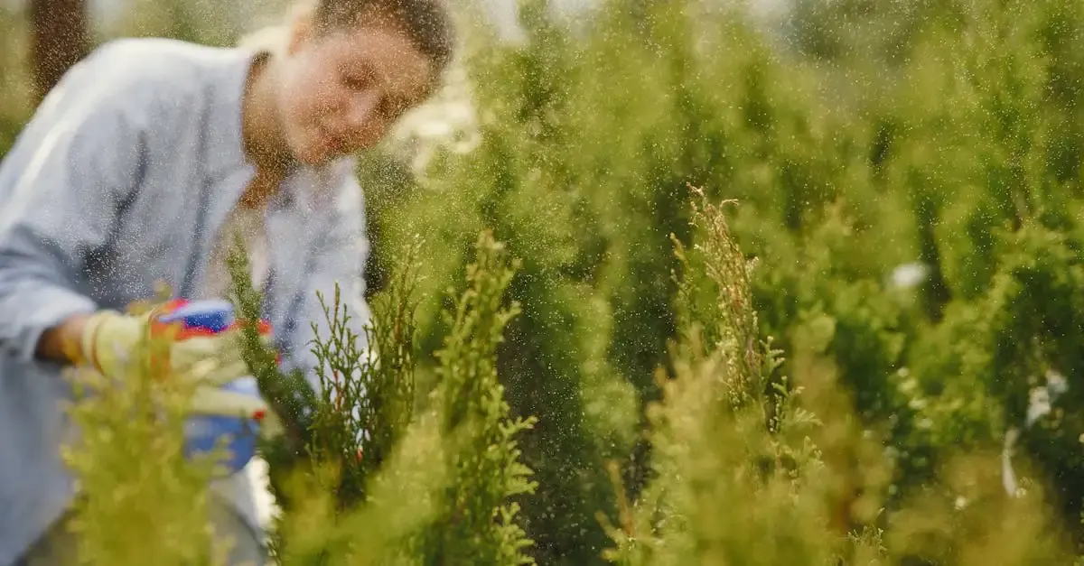 Rechnung schreiben garten und landschaftsbau