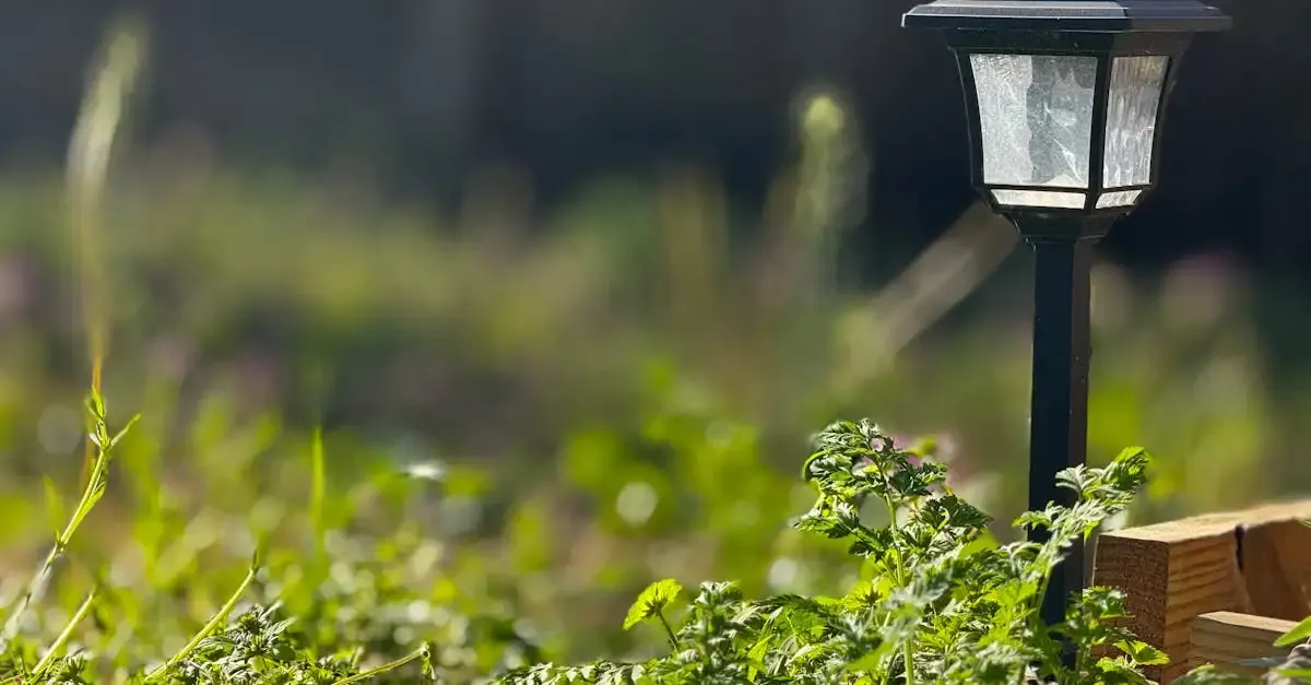 Solar komplettset für garten