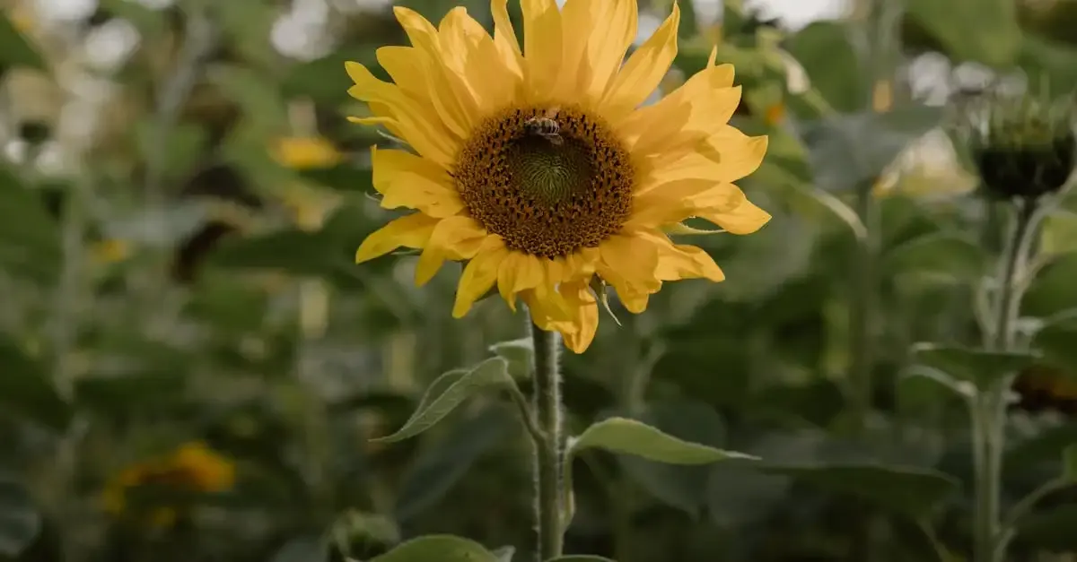 Tarifvertrag garten und landschaftsbau 2016 bayern
