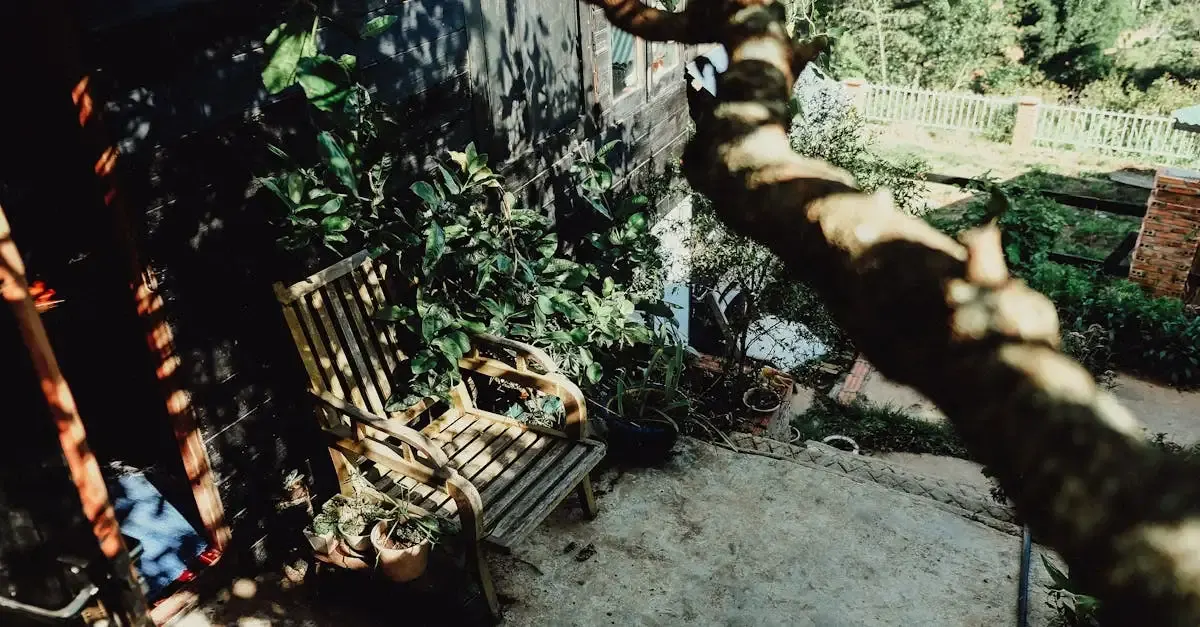 Teak garten