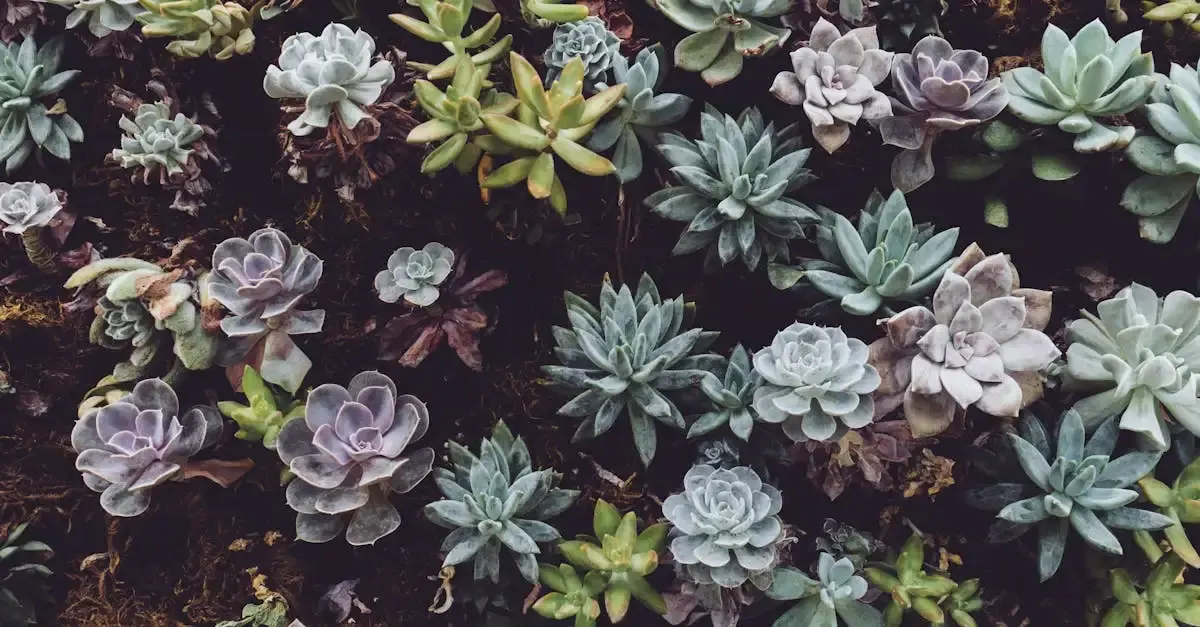 Tipps gartengestaltung kleiner garten