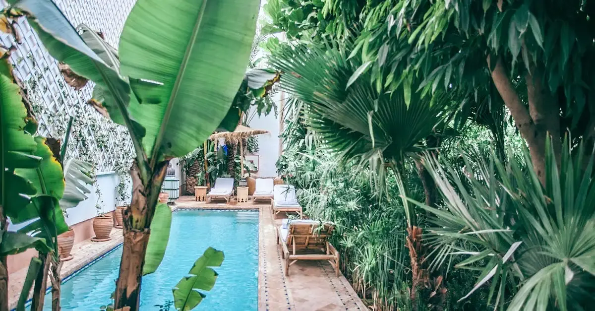 Tm haus pool garten