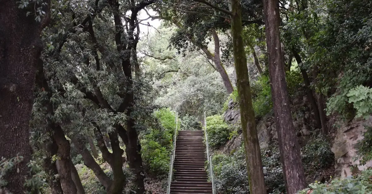 Treppe für garten kaufen