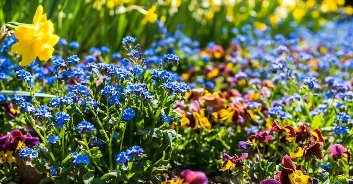 Vogelfreundlicher garten bayern