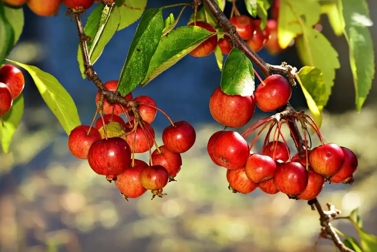 Vordächer garten