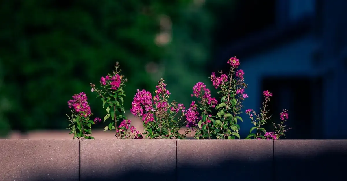 Werbung garten und landschaftsbau