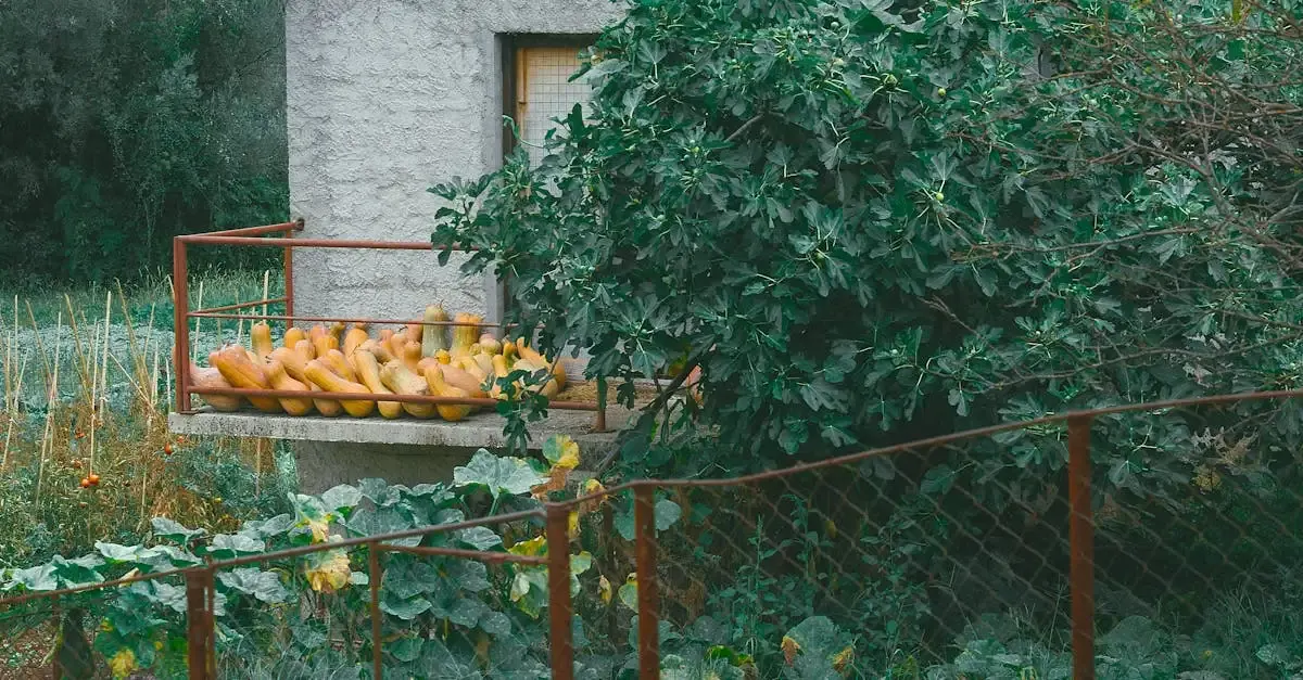 Wohnen & Garten Magazin: Ideen für Ihr Zuhause