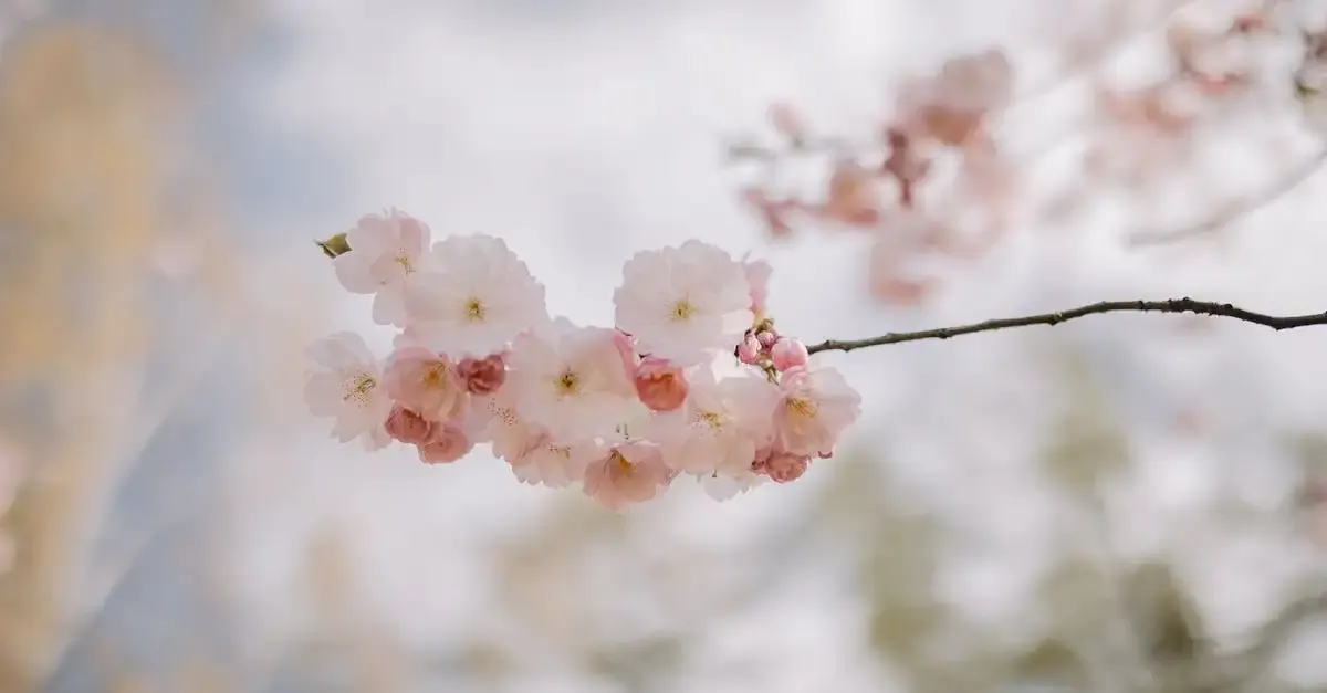 Zen Garten München: Ruheoase und japanische Gartenkunst