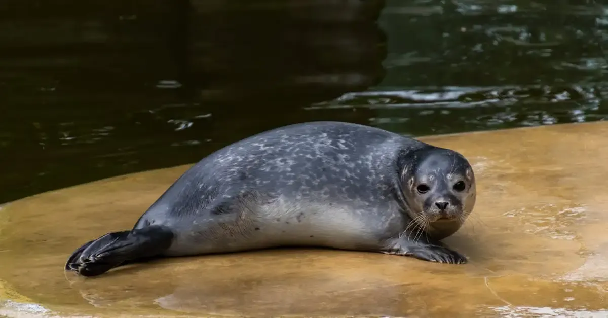 Zoologischer Garten Berlin: Tiere, Tickets & Öffnungszeiten