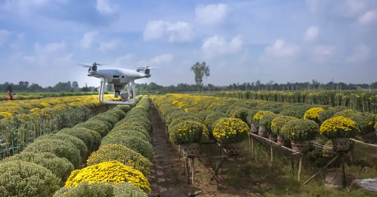 Kotte technik für landschaft und garten