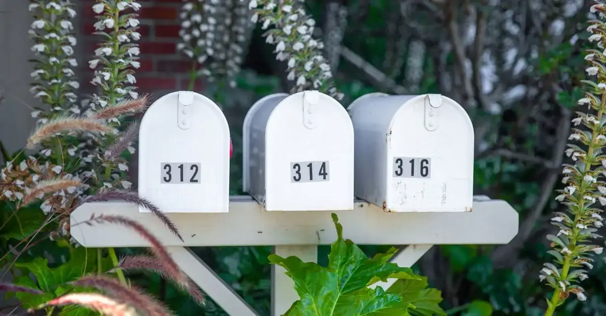Pflanzen online bestellen für Ihren Garten kaufen